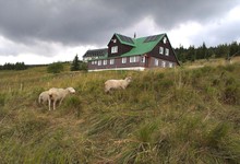 Chata Matouš Chata Matouš